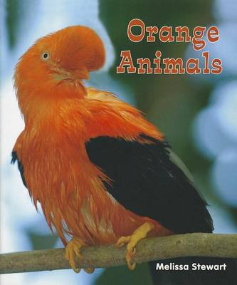 Cover of Orange Animals