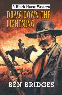 Book cover for Draw Down the Lightning