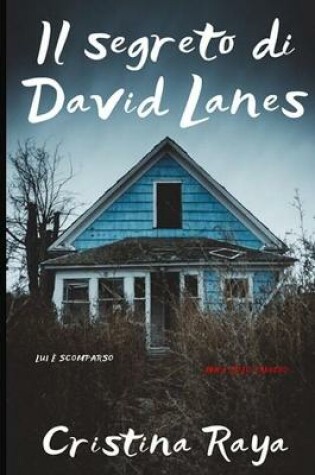 Cover of Il segreto di David Lanes