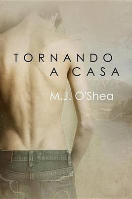 Book cover for Tornando a Casa
