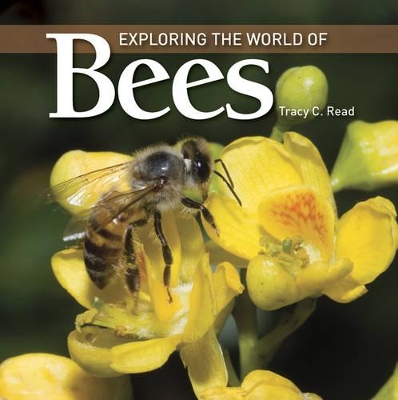 Book cover for Exploring the World of Bees