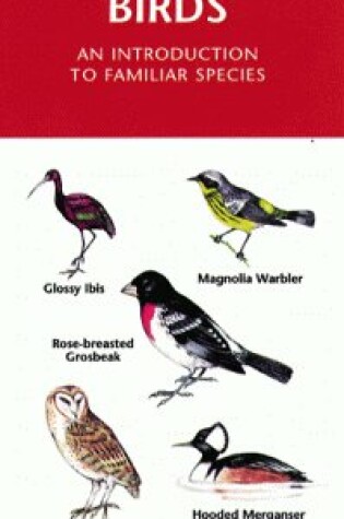 Cover of New York Birds