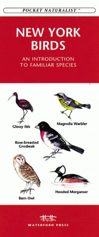 Book cover for New York Birds