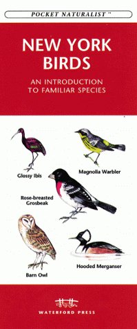 Cover of New York Birds