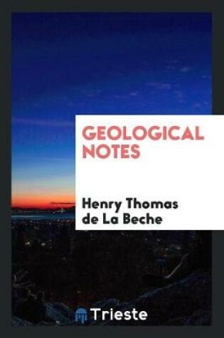 Cover of Geological Notes