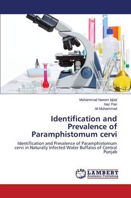 Book cover for Identification and Prevalence of Paramphistomum Cervi