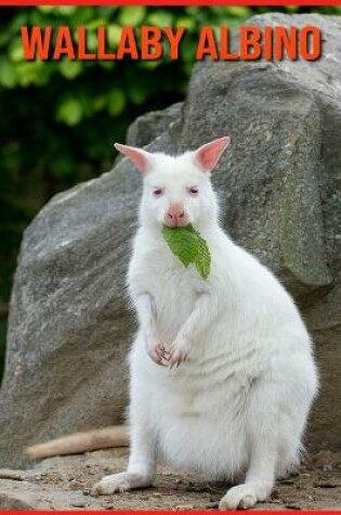 Cover of Wallaby Albino