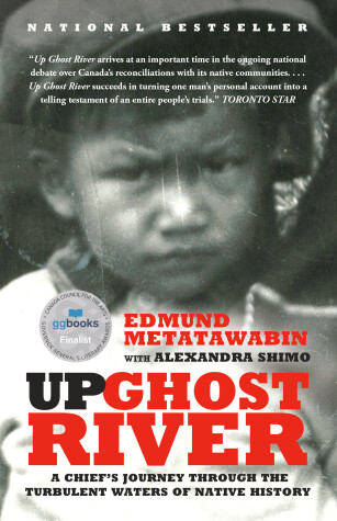 Book cover for Up Ghost River