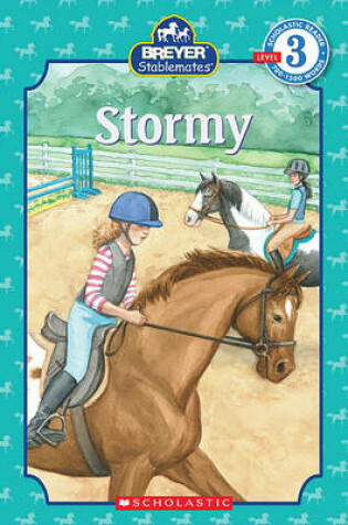 Cover of Stormy