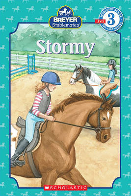 Book cover for Stormy