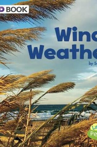 Cover of Windy Weather: a 4D Book (All Kinds of Weather)
