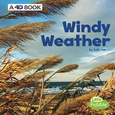 Book cover for Windy Weather: a 4D Book (All Kinds of Weather)