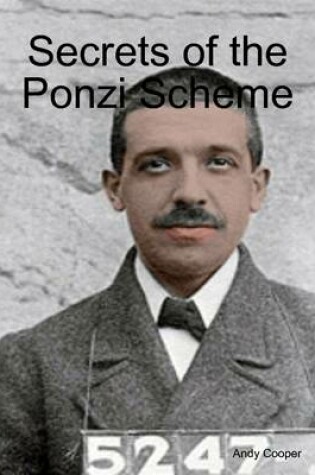 Cover of Secrets of the Ponzi Scheme