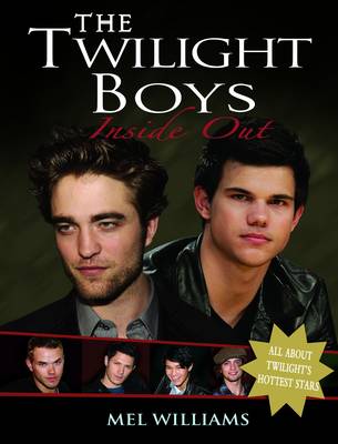 Book cover for The Twilight Boys