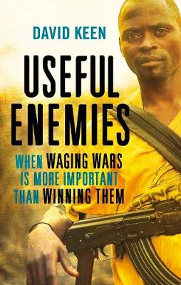 Book cover for Useful Enemies