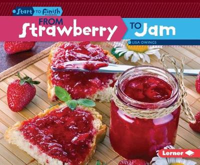 Book cover for From Strawberry to Jam