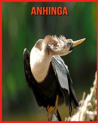 Book cover for Anhinga