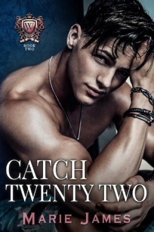 Cover of Catch Twenty Two