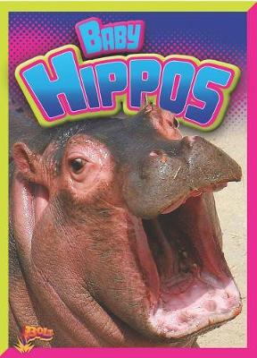 Book cover for Baby Hippos