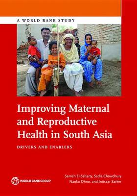 Book cover for Improving Maternal and Reproductive Health in South Asia