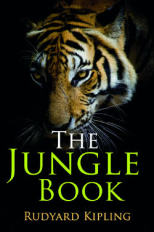 Cover of Rollercoaster: The Jungle Book