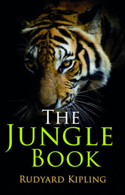 Cover of Rollercoaster: The Jungle Book