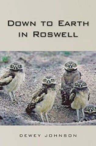 Cover of Down to Earth in Roswell