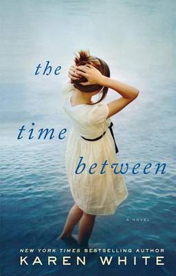 Book cover for The Time Between