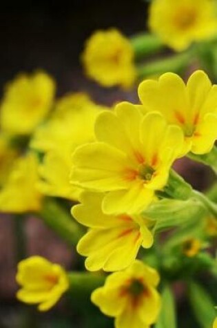 Cover of Beautiful Yellow Cowslip Flowers Journal