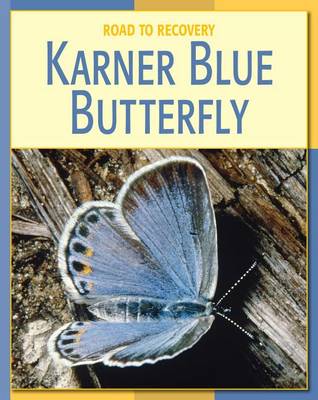 Book cover for Karner Blue Butterfly