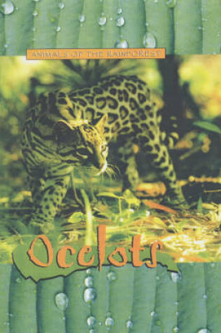 Cover of Animals of the Rainforest: Ocelots