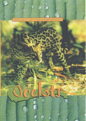 Book cover for Animals of the Rainforest: Ocelots