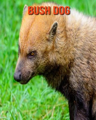 Book cover for Bush Dog