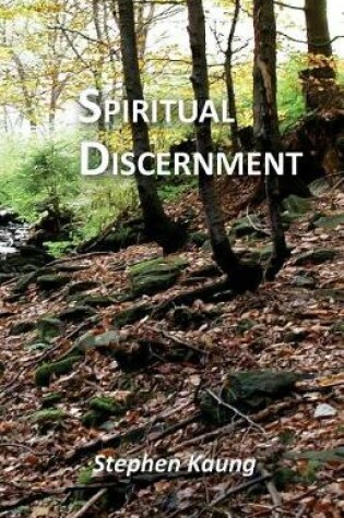 Cover of Spiritual Discernment