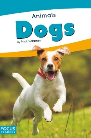 Cover of Animals: Dogs
