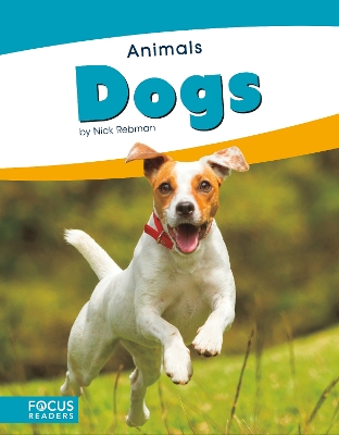 Book cover for Animals: Dogs