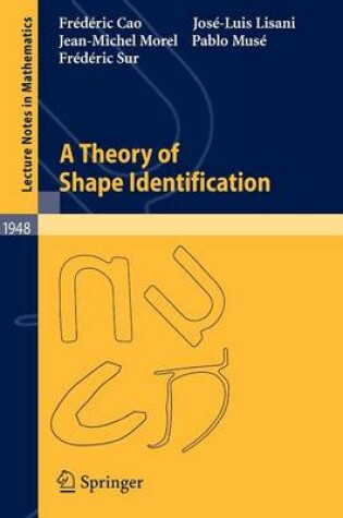 Cover of A Theory of Shape Identification