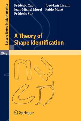 Book cover for A Theory of Shape Identification