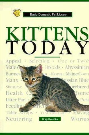 Cover of Kittens Today