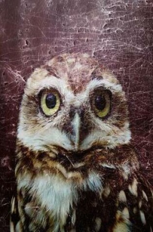 Cover of Owl Notebook