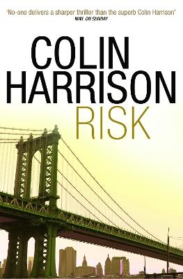 Book cover for Risk