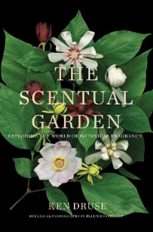 Cover of The Scentual Garden: Exploring the World of Botanical Fragrance