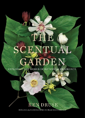 Book cover for The Scentual Garden: Exploring the World of Botanical Fragrance