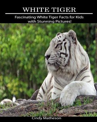 Book cover for White Tiger