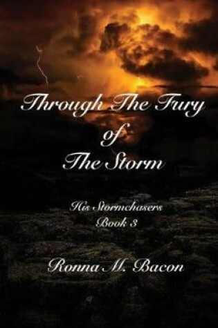 Cover of Through The Fury of The Storm