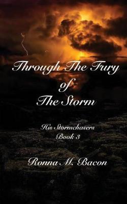 Book cover for Through The Fury of The Storm