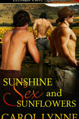 Cover of Sunshine, Sex and Sunflowers