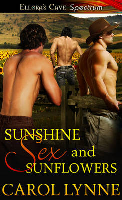 Book cover for Sunshine, Sex and Sunflowers