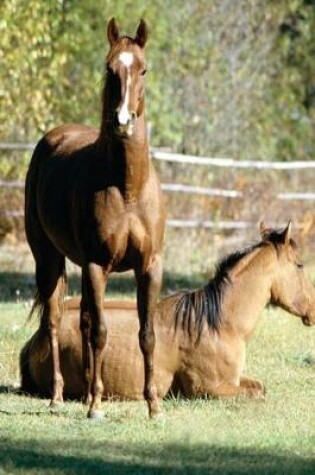 Cover of Equine Journal Two Horses At Pasture