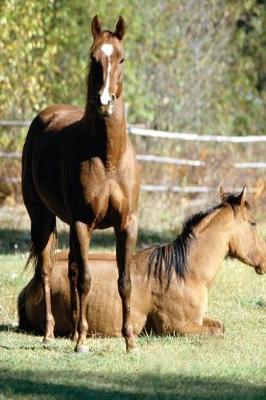 Book cover for Equine Journal Two Horses At Pasture